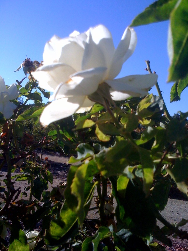 photo-23.jpg